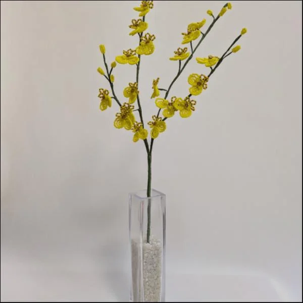 オンシジウム