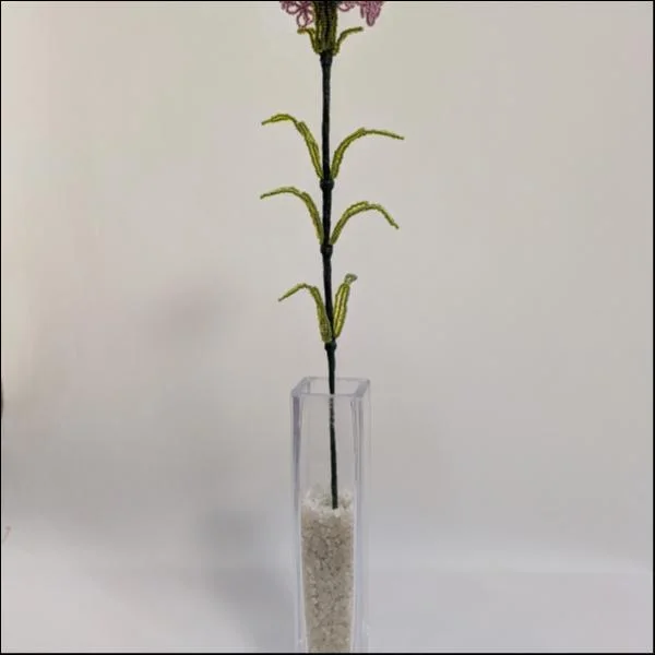 カーネーション(濃ピンク)